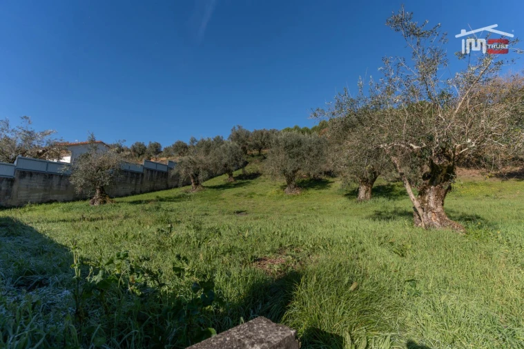 Terreno para Venda em Seiça Foto 6