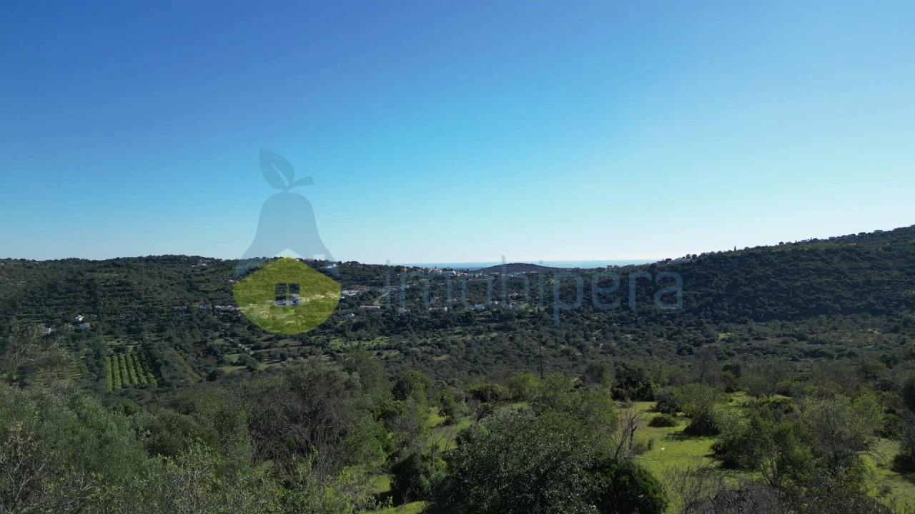 Quinta T3 para Venda em Loule (São Sebastião) Foto 7