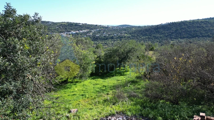 Quinta T3 para Venda em Loule (São Sebastião) Foto 8