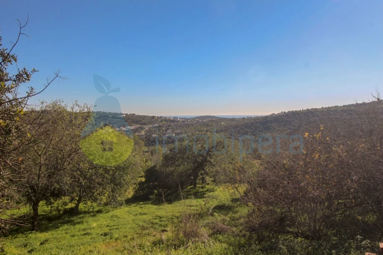 Quinta T3 para Venda em Loule (São Sebastião) Foto 24