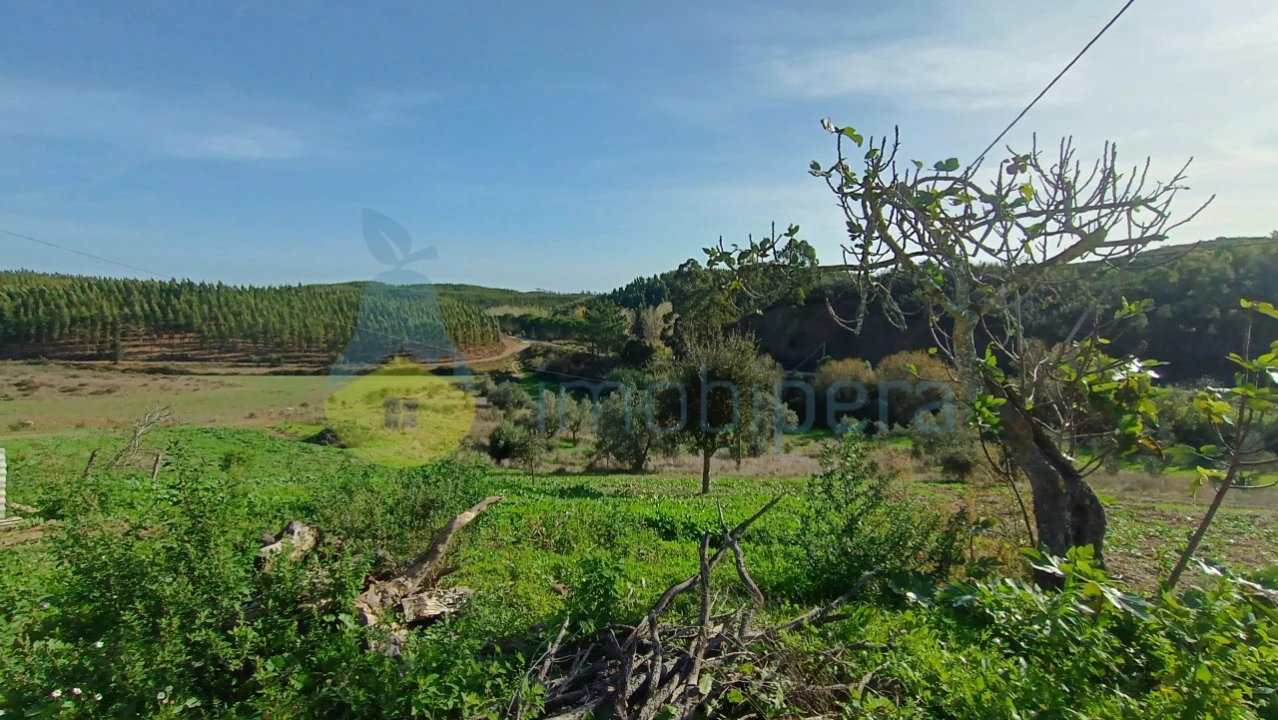 Moradia T2 para Venda em Saboia Foto 21