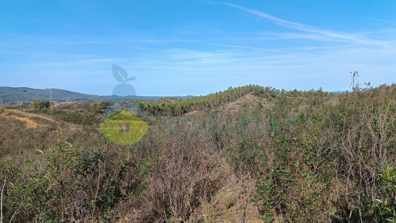 Moradia T2 para Venda em Saboia Foto 24