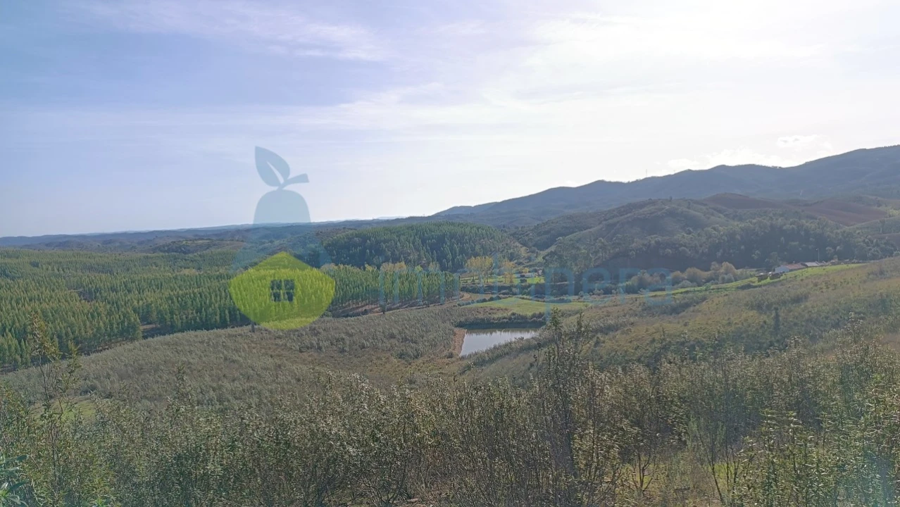 Moradia T2 para Venda em Saboia Foto 26