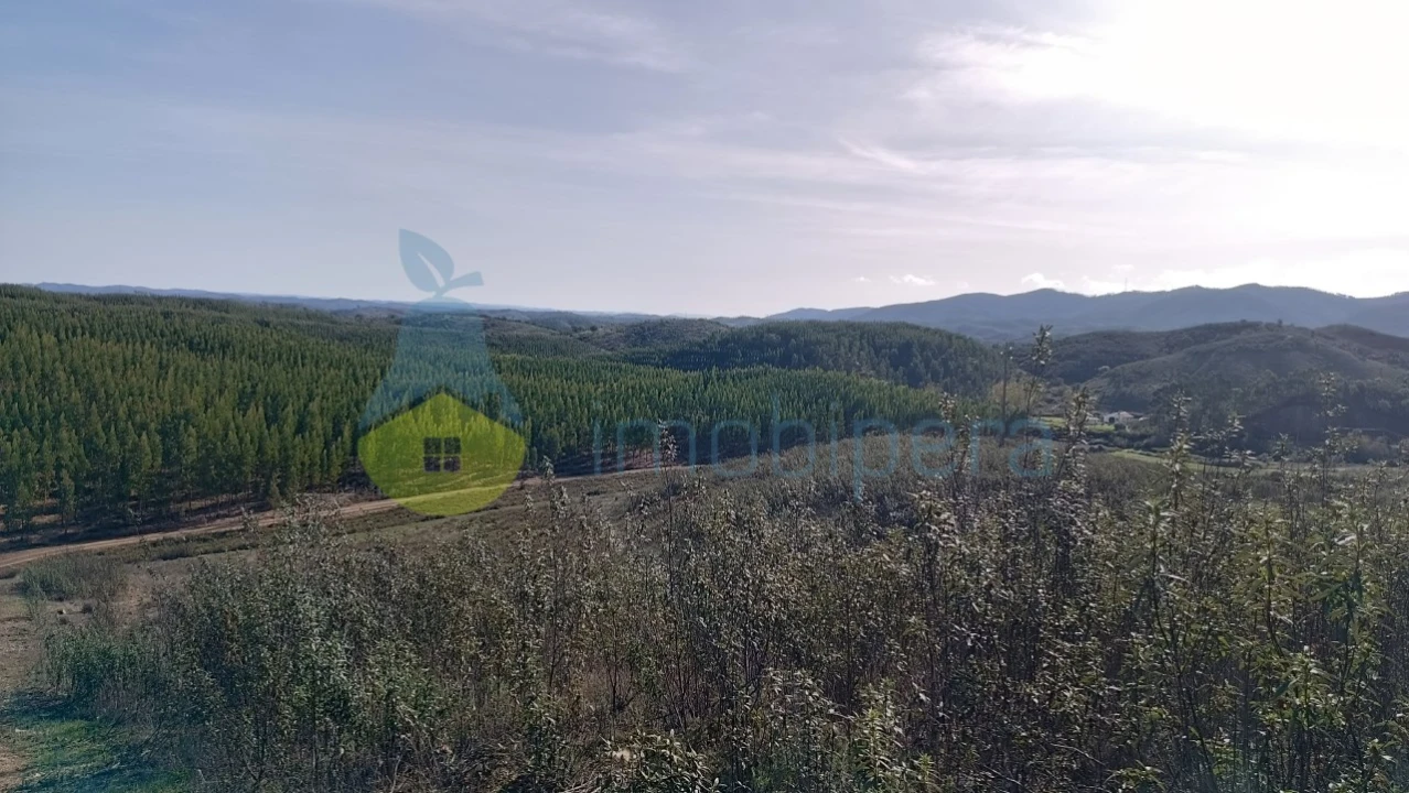 Moradia T2 para Venda em Saboia Foto 30