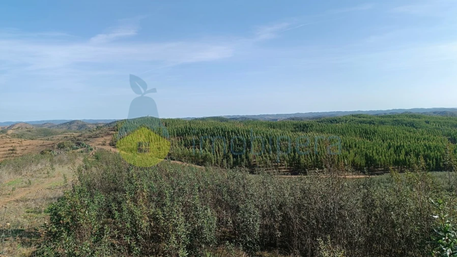 Moradia T2 para Venda em Saboia Foto 28