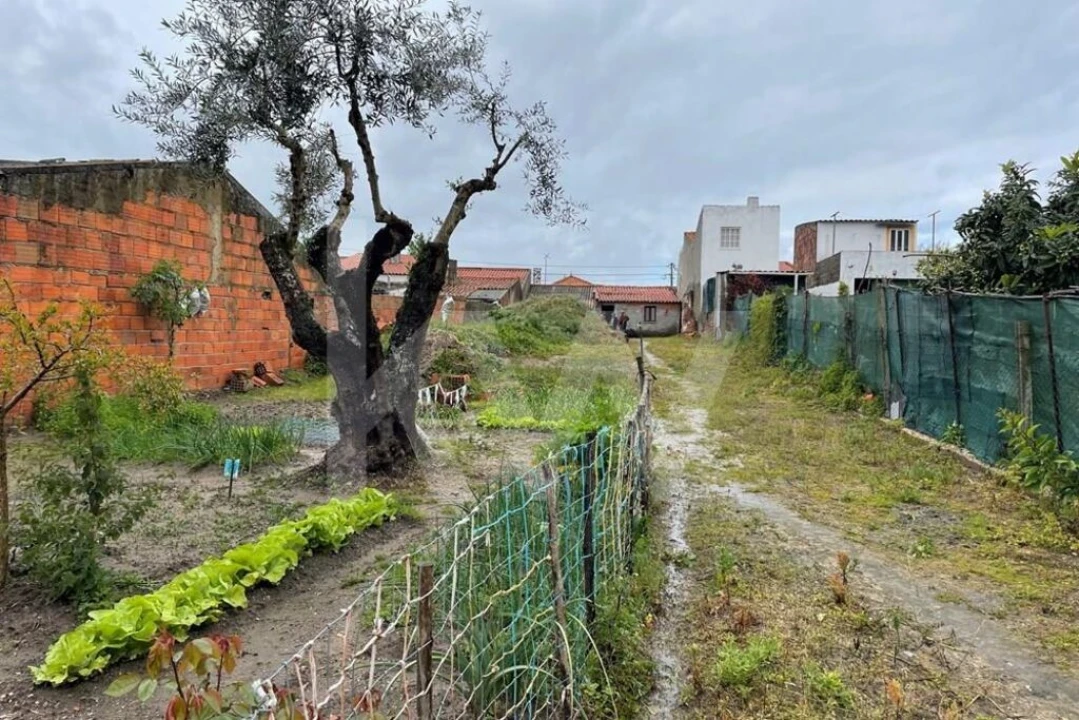 Moradia T2 para Venda em Figueira dos Cavaleiros Foto 3