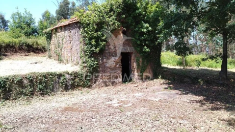 Terreno para Venda em Águeda e Borralha