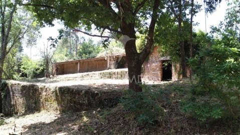 Terreno para Venda em Águeda e Borralha