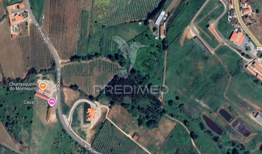 Terreno para Venda em Lamas e Cercal Foto 3