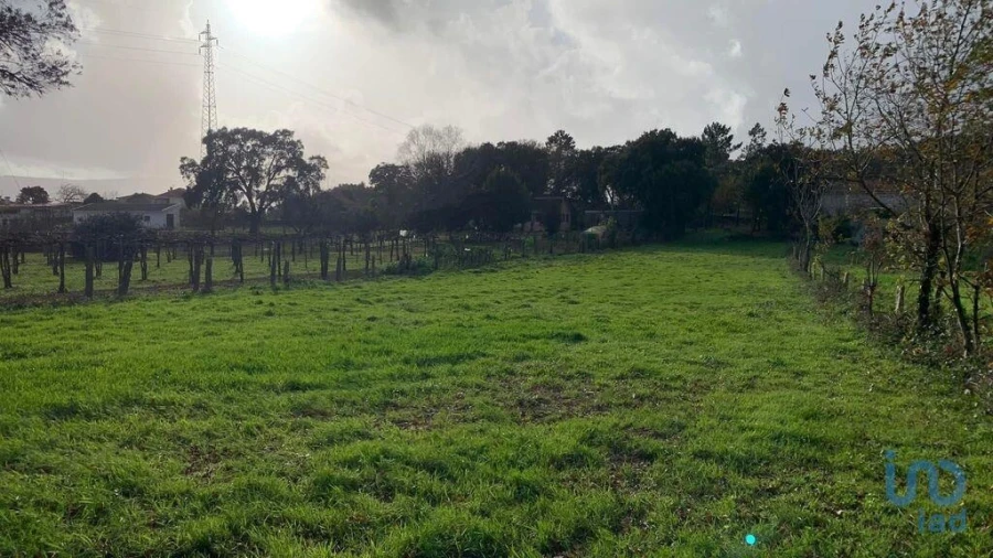 Terreno para Venda em Mazedo e Cortes Foto 3