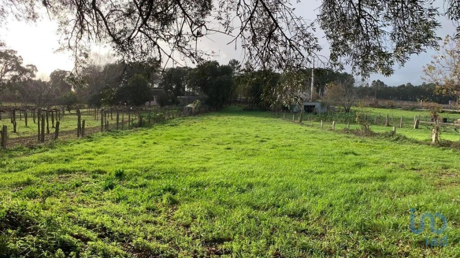 Terreno para Venda em Mazedo e Cortes Foto 1
