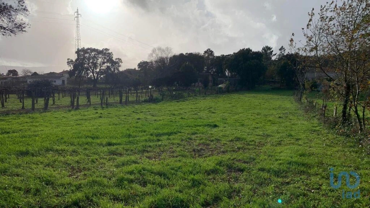 Terreno para Venda em Mazedo e Cortes Foto 3