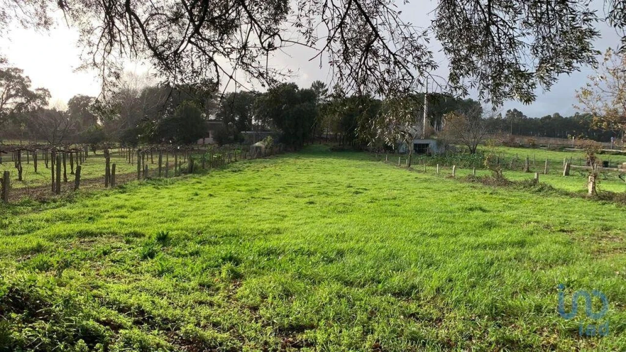 Terreno para Venda em Mazedo e Cortes Foto 1