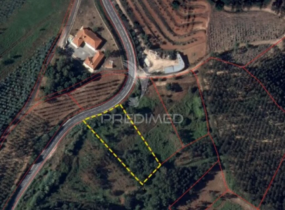 Terreno para Venda em Lamas e Cercal Foto 3