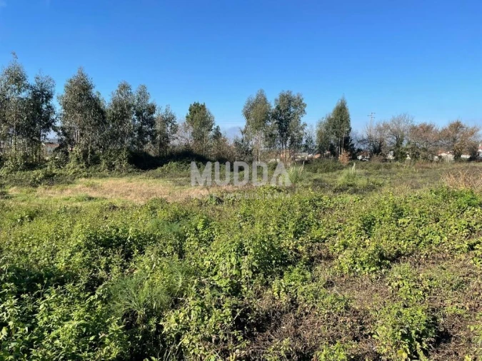 Terreno para Venda em Branca Foto 2