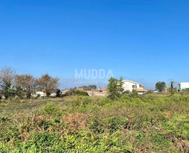 Terreno para Venda em Branca Foto 3