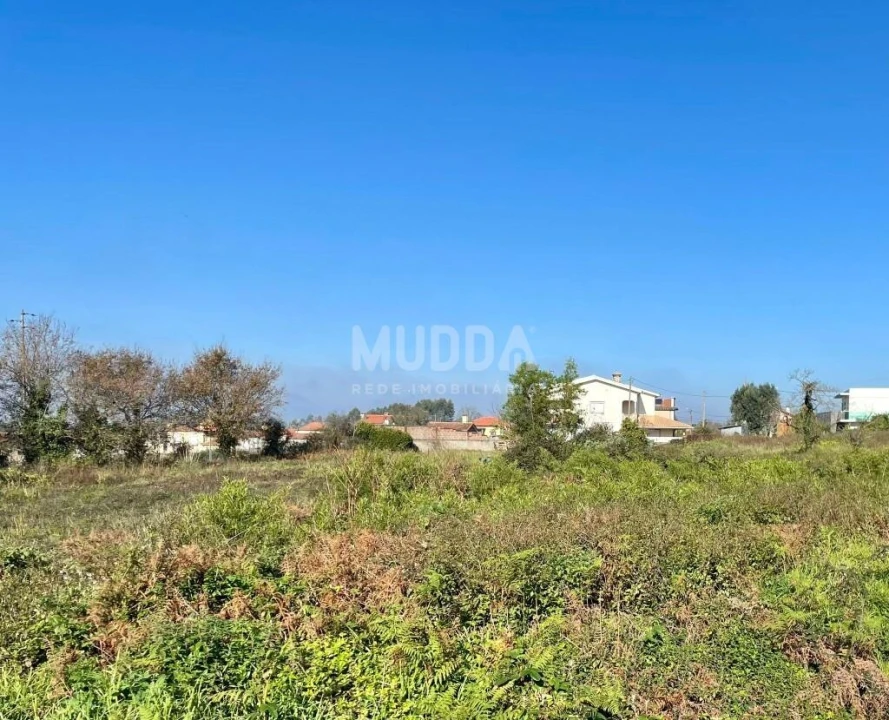 Terreno para Venda em Branca Foto 3