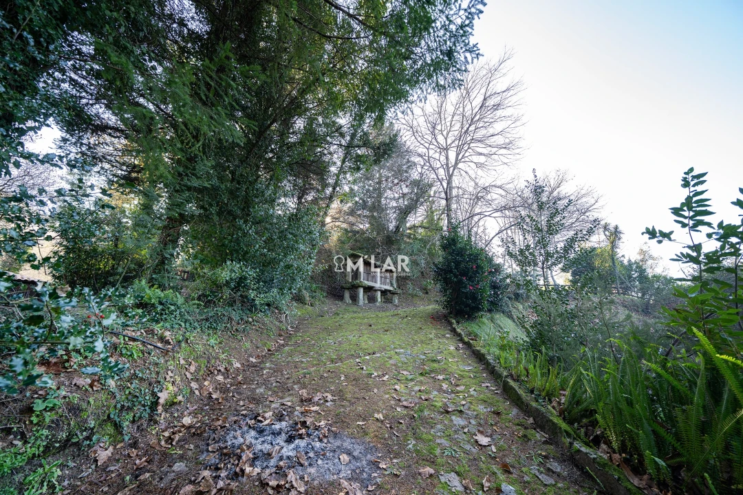 Quinta T3 para Venda em Caniçada e Soengas Foto 40