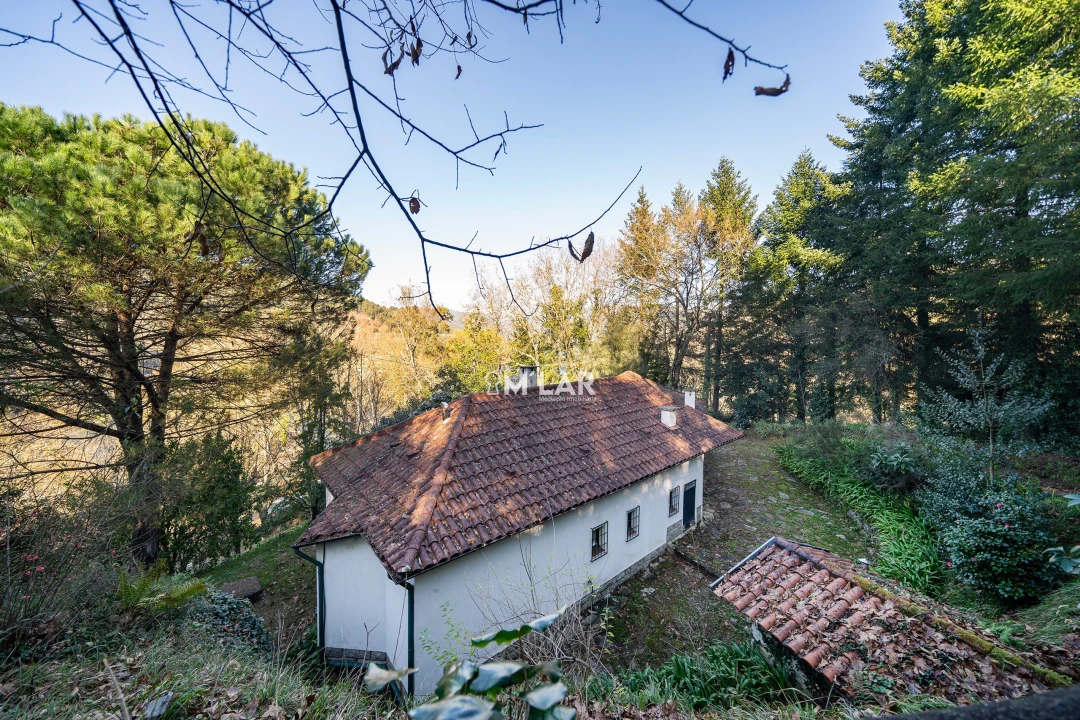 Quinta T3 para Venda em Caniçada e Soengas Foto 43