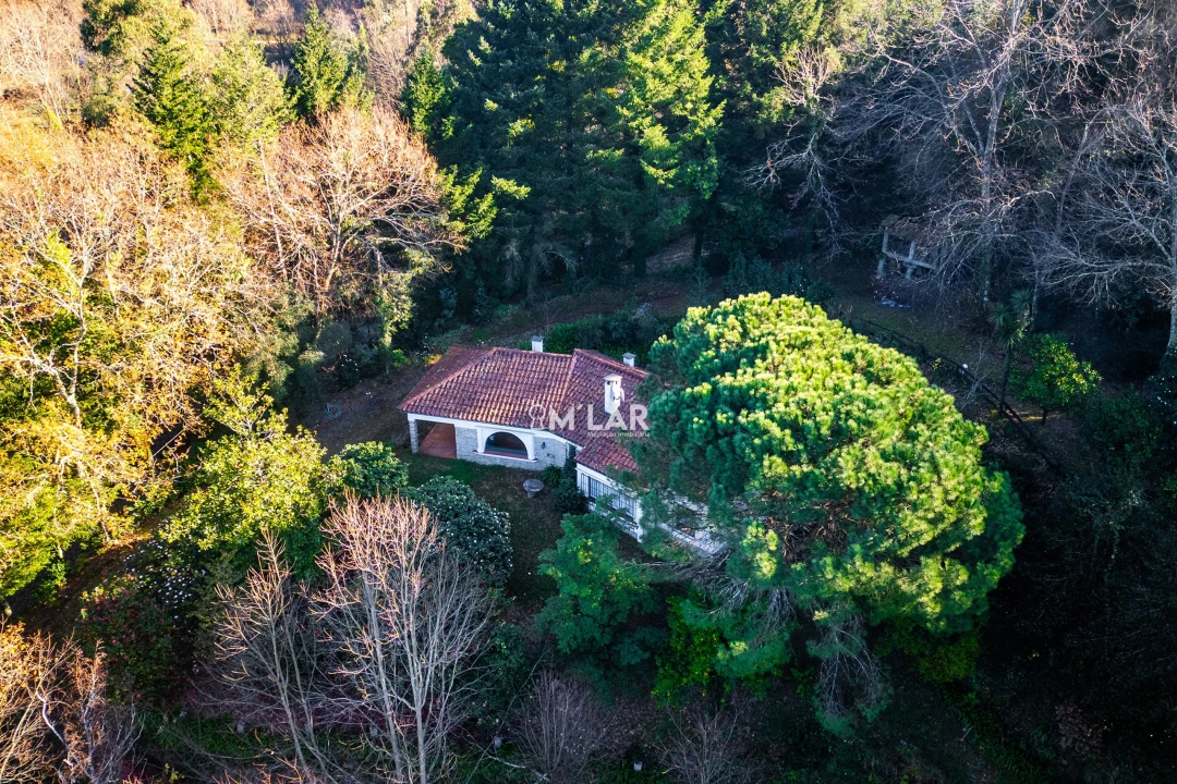 Quinta T3 para Venda em Caniçada e Soengas Foto 55