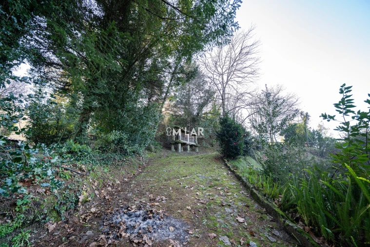 Quinta T3 para Venda em Caniçada e Soengas Foto 40