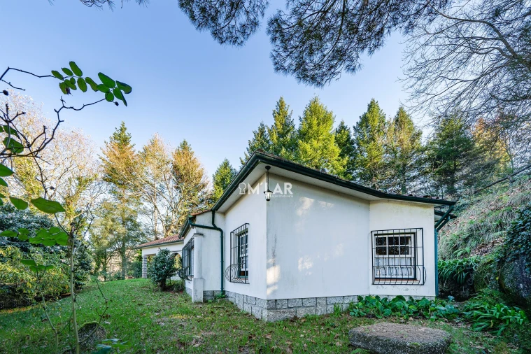 Quinta T3 para Venda em Caniçada e Soengas Foto 38