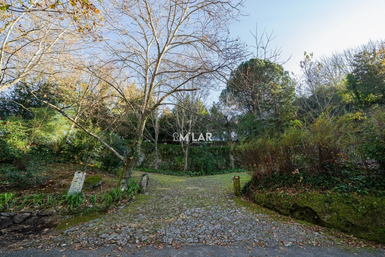 Quinta T3 para Venda em Caniçada e Soengas Foto 6