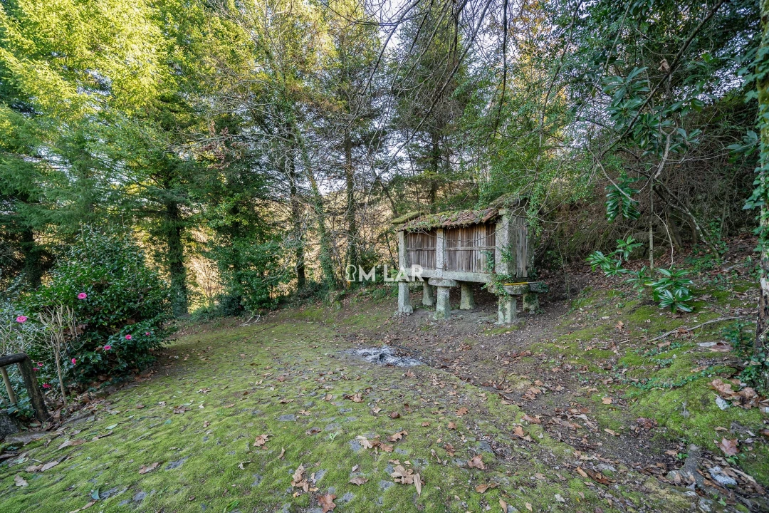 Quinta T3 para Venda em Caniçada e Soengas Foto 42