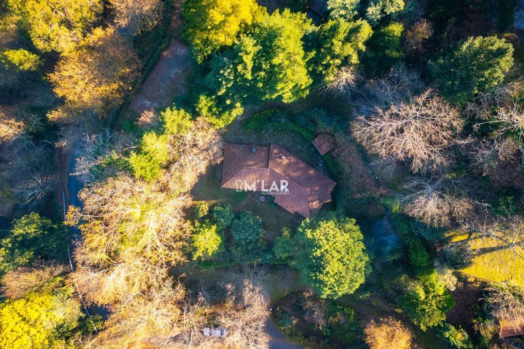 Quinta T3 para Venda em Caniçada e Soengas Foto 60