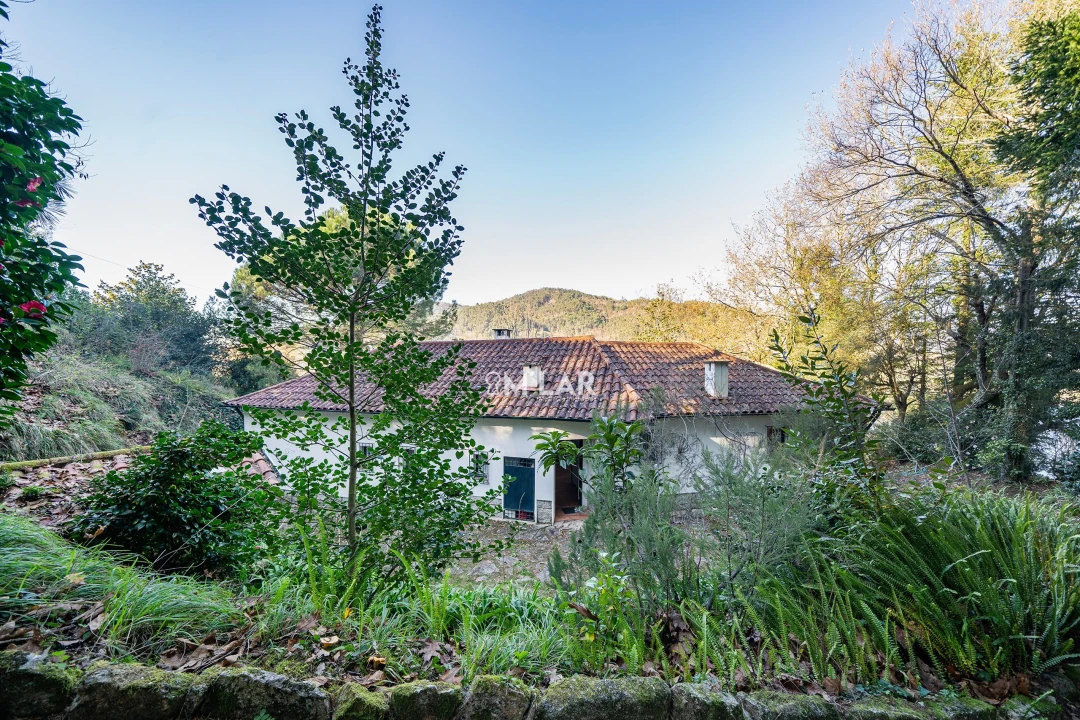 Quinta T3 para Venda em Caniçada e Soengas Foto 41