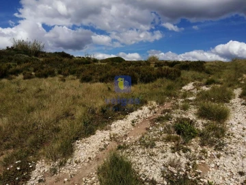 Terreno para Venda em Caldas da Rainha - Santo Onofre e Serra do Bouro