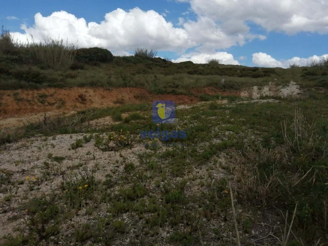 Terreno para Venda em Caldas da Rainha - Santo Onofre e Serra do Bouro Foto 11