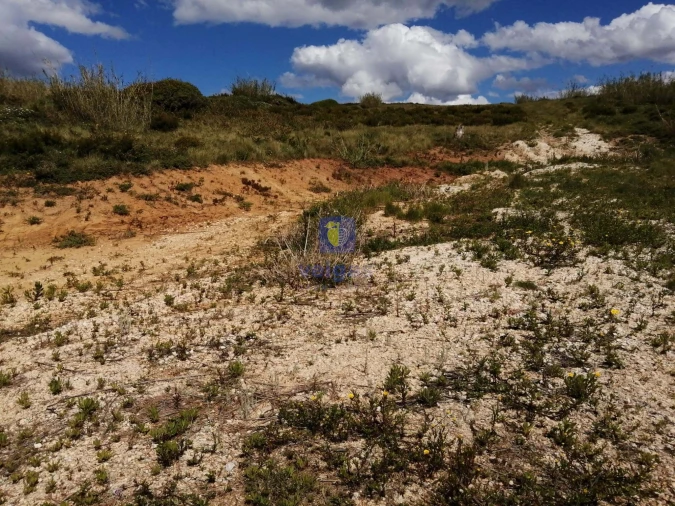 Terreno para Venda em Caldas da Rainha - Santo Onofre e Serra do Bouro Foto 9