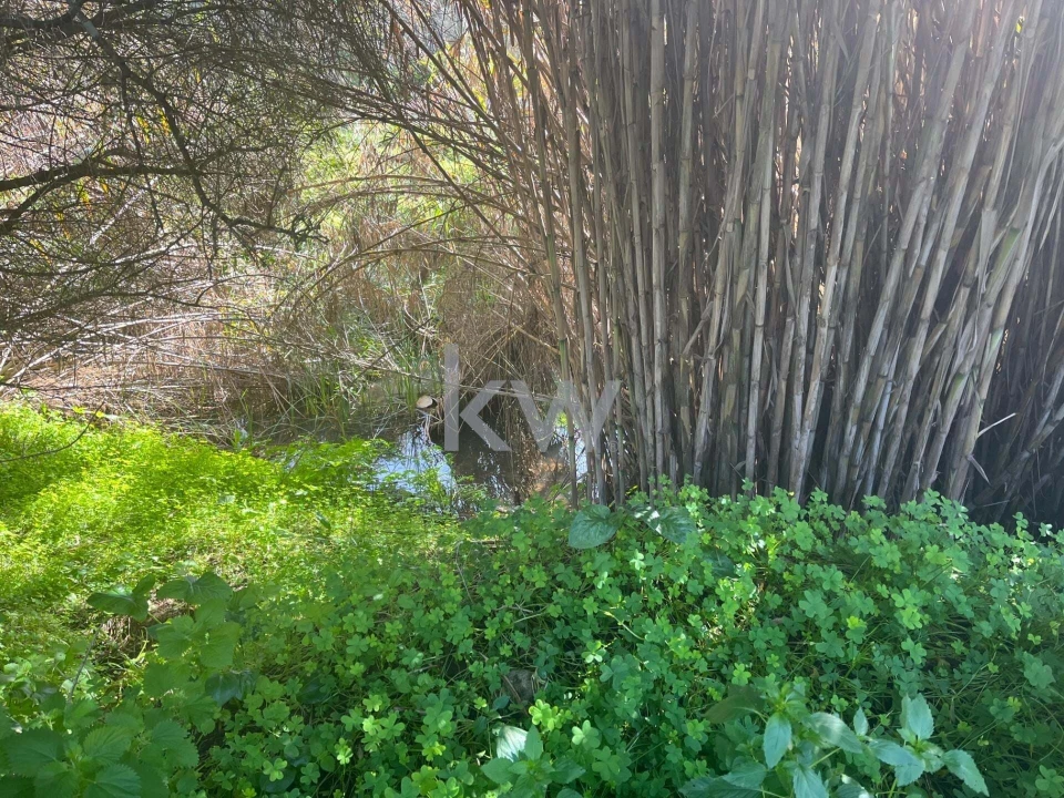Terreno para Venda em Mexilhoeira Grande Foto 5