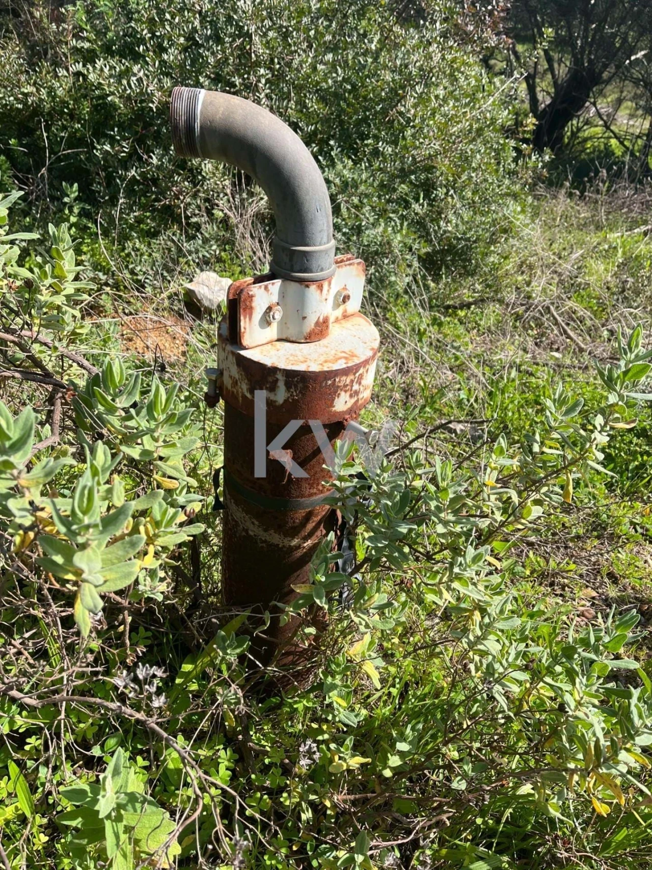 Terreno para Venda em Mexilhoeira Grande Foto 10