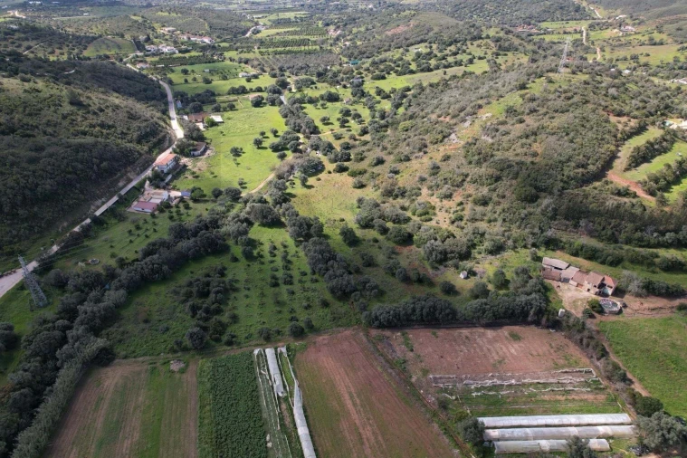 Terreno para Venda em Mexilhoeira Grande Foto 15