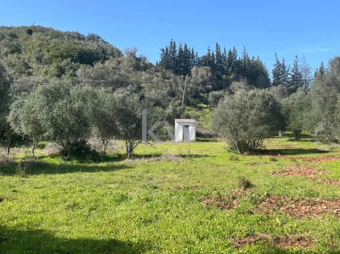Terreno para Venda em Mexilhoeira Grande