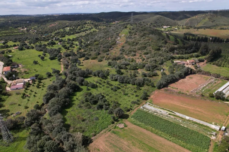 Terreno para Venda em Mexilhoeira Grande Foto 12
