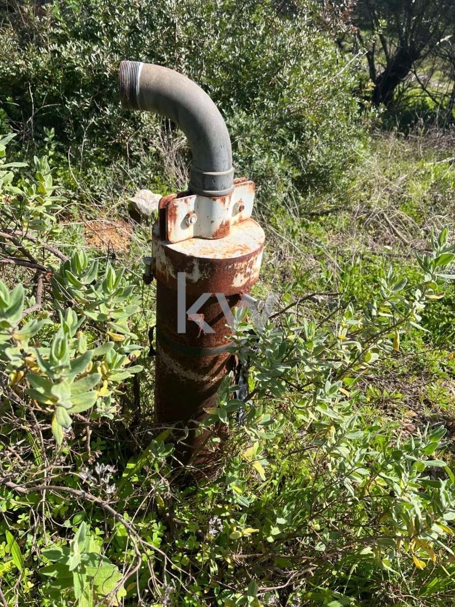 Terreno para Venda em Mexilhoeira Grande Foto 10