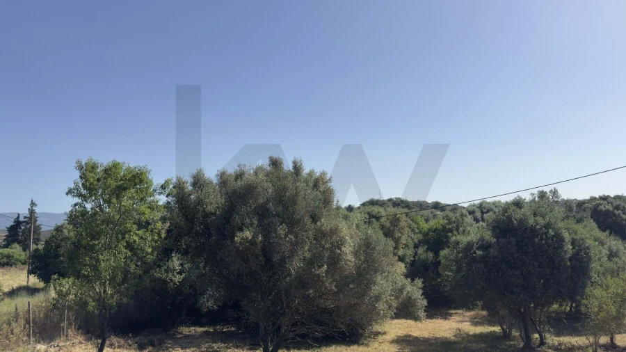 Terreno para Venda em Mexilhoeira Grande Foto 17