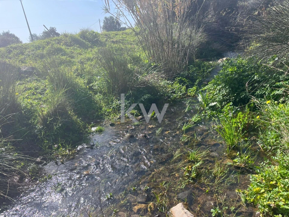 Terreno para Venda em Mexilhoeira Grande Foto 3