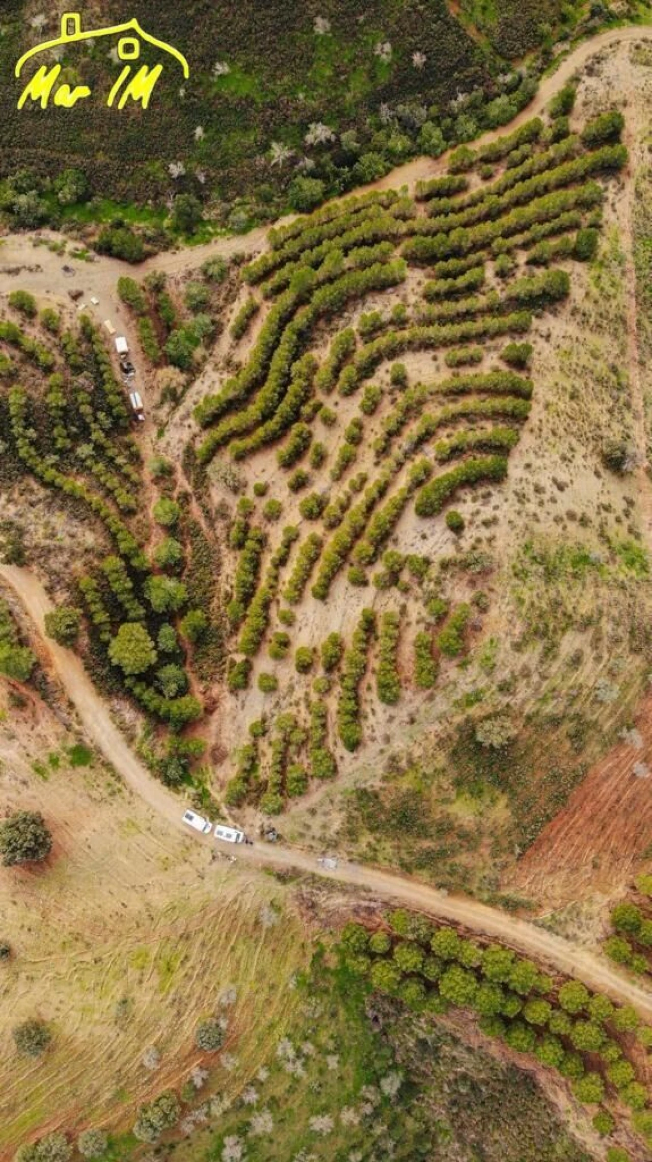 Terreno Agricola ou Rústico para Venda em Odeleite Foto 22