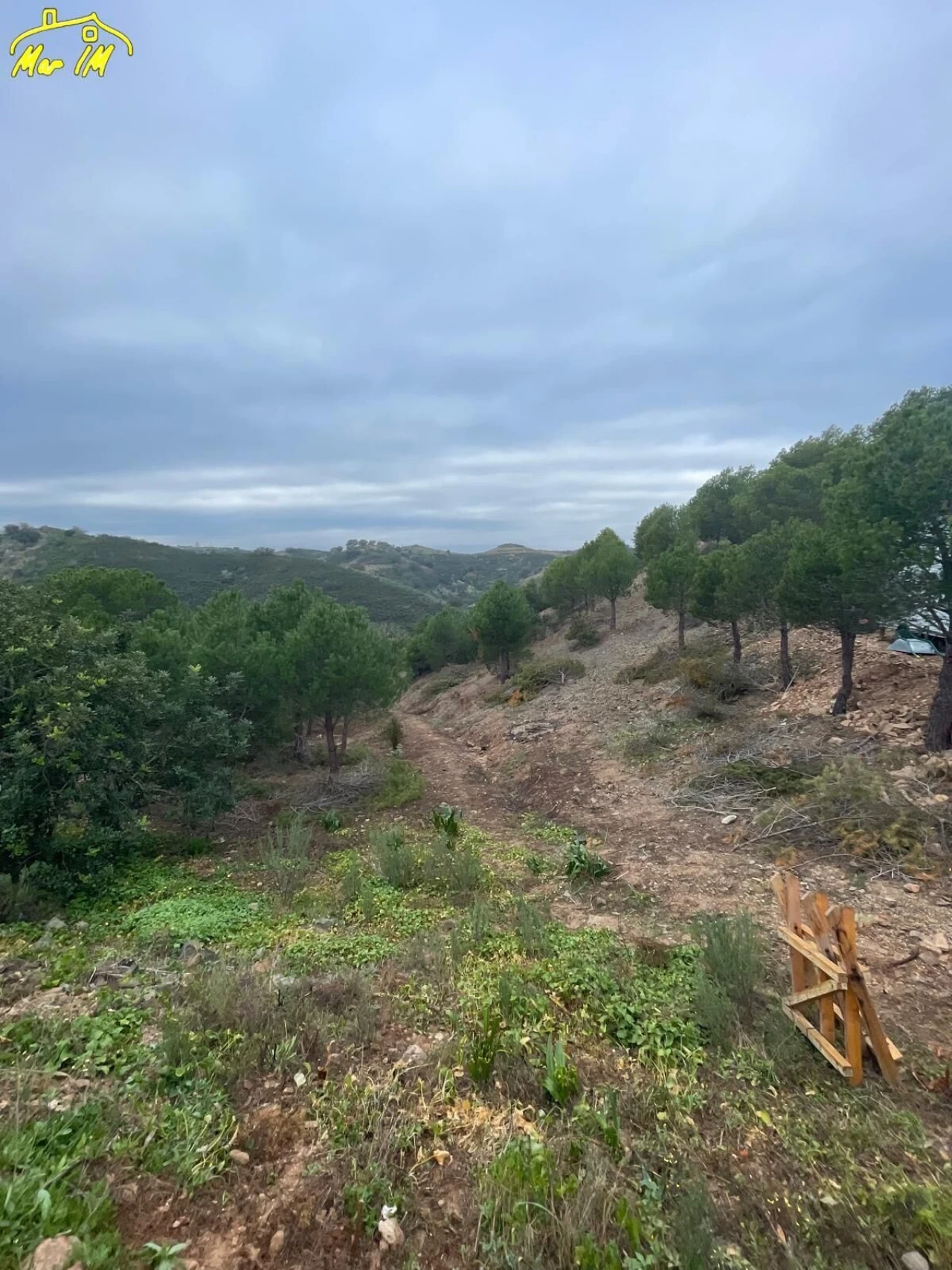 Terreno Agricola ou Rústico para Venda em Odeleite Foto 29