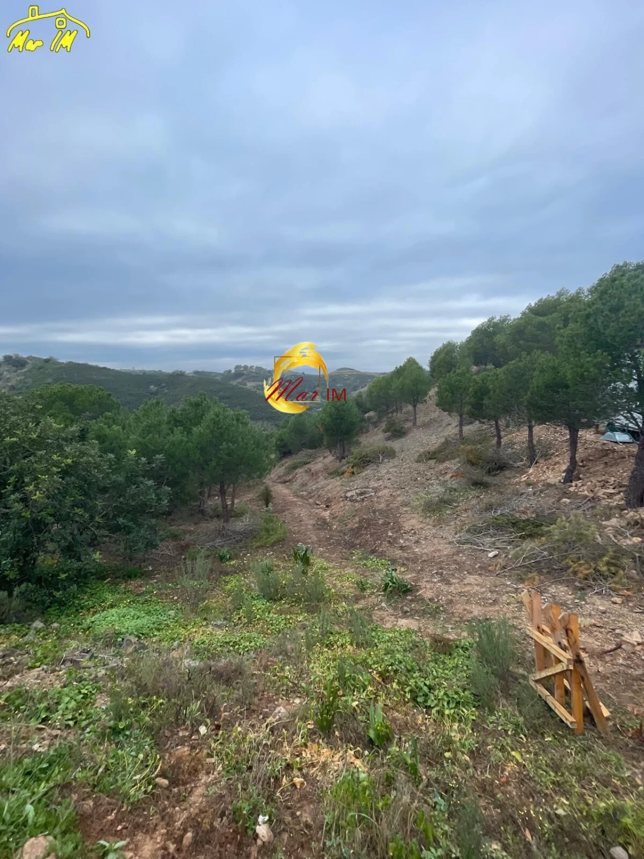 Terreno Agricola ou Rústico para Venda em Odeleite Foto 29