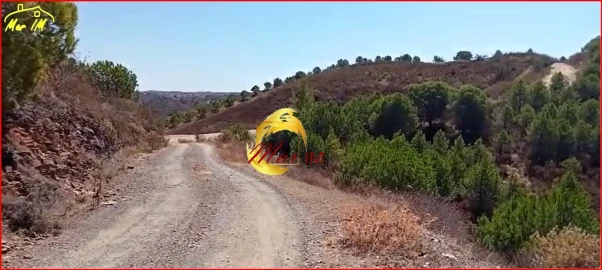 Terreno Agricola ou Rústico para Venda em Odeleite