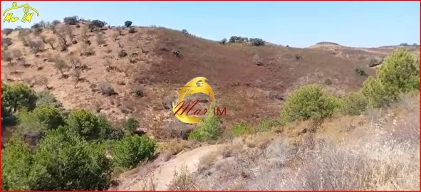 Terreno Agricola ou Rústico para Venda em Odeleite