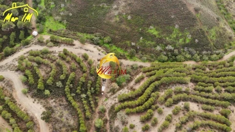 Terreno Agricola ou Rústico para Venda em Odeleite
