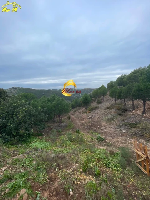 Terreno Agricola ou Rústico para Venda em Odeleite