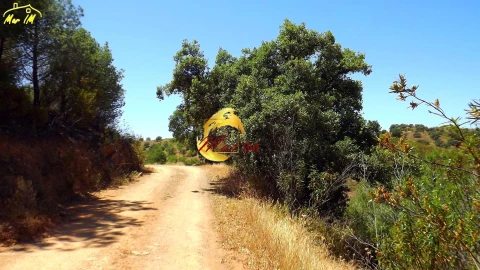 Terreno Agricola ou Rústico para Venda em Odeleite