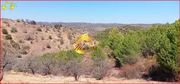 Terreno Agricola ou Rústico para Venda em Odeleite